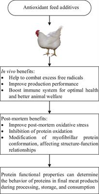 Effects of selenium yeast and jujube powder dietary supplements on conformational and functional properties of post-mortem chicken myofibrillar protein